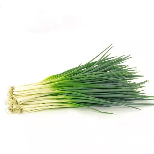 小葱  约500g【BC】【WNX】 商品图0
