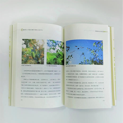 重塑田园——乡村振兴战略下的新农人返乡手记 商品图2