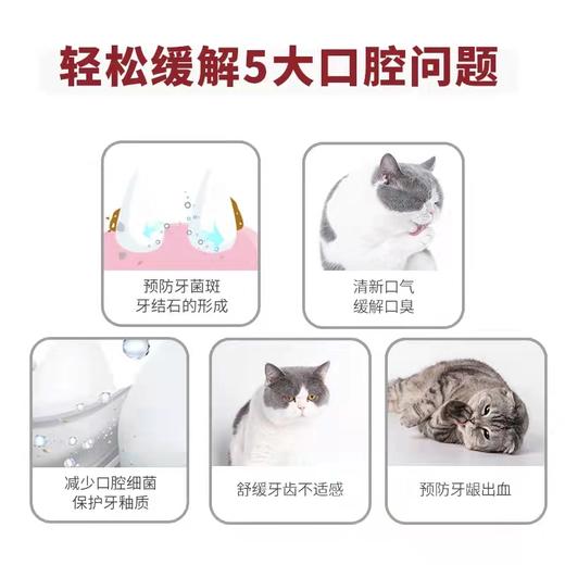 日本KOJIMA宠物牙齿专业护理 乳酸菌牙膏 360°牙刷 轻柔指套 温和去渍 商品图1