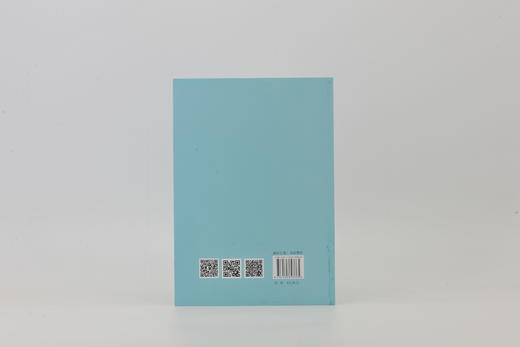 艺术趣味的缺位——从清代学术看碑学 商品图1