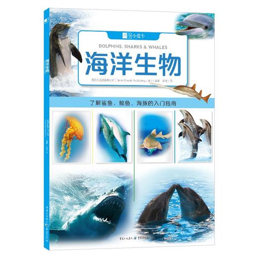 海洋生物 商品图0