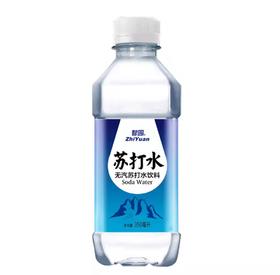 智园 无气苏打水350ml【BC】【HB】