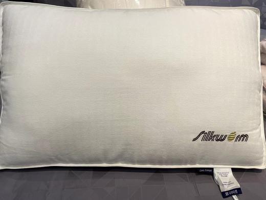 5F千伯伦 蚕蛹蛋白枕 48*74CM 商品图0