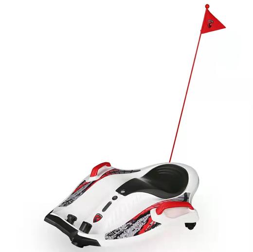 (包邮)rallplay如雷电动车魔鬼鱼W501C（两种颜色） 商品图1