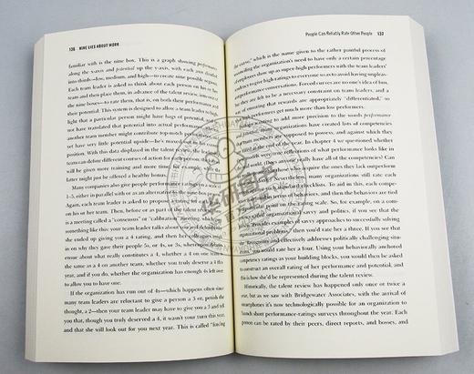关于工作的9个大谎言 英文原版 Nine Lies About Work 求职与职场 职场工作误区马库斯白金汉 Marcus Buckingham 英文版进口英语书 商品图2