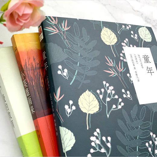 【专享】六年级上学期，快乐读书吧推荐阅读书目 商品图4