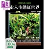 预售 【中商原版】走入生态缸世界 设计 培养 疗愈 陆生缸 沼泽缸 两栖生态缸 水陆缸 港台原版 佐佐木浩之 户津健治 瑞昇 商品缩略图1
