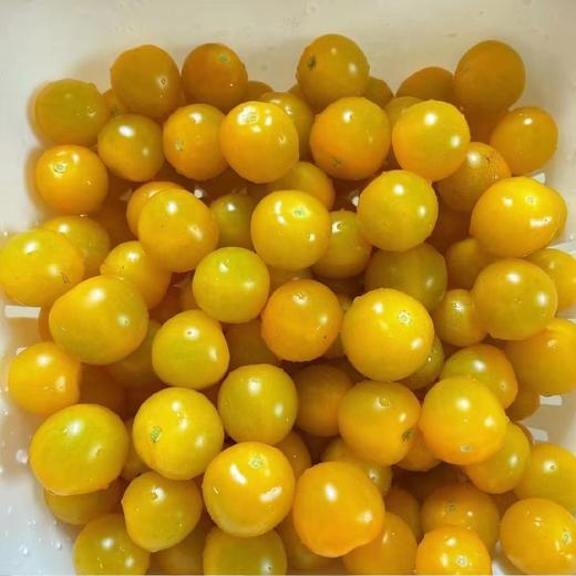 多彩樱桃自然熟小番茄  3斤装 商品图13