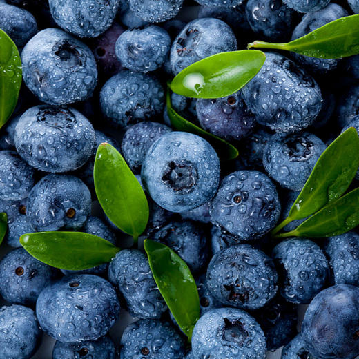 【云南抚仙湖 湖边蓝莓】果肉饱满，酸甜可口，较同品类果花青素、维生素等的常规营养成分含量更胜一筹,含有极为丰富的黄酮类和多糖类化合物，顺丰空运 商品图3