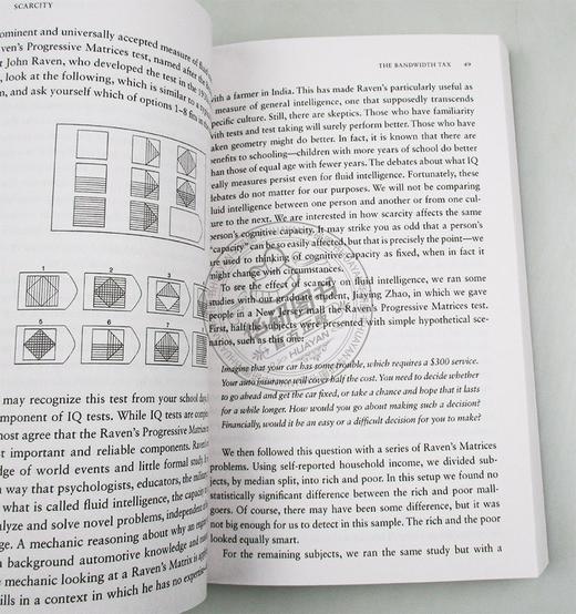 稀缺 一本可能会改变你生活方式的书 英文原版 Scarcity The True Cost of Not Having Enough 英文版 进口原版英语书籍 商品图2
