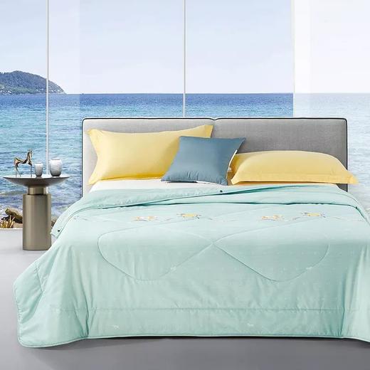 华伦天奴 悦然四季纤维被GV2679BZ 商品图6