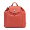 【国内现货】Longchamp/珑骧 Le Pliage Cuir 女士系列羊皮超小号双肩包 1306 737 商品缩略图5