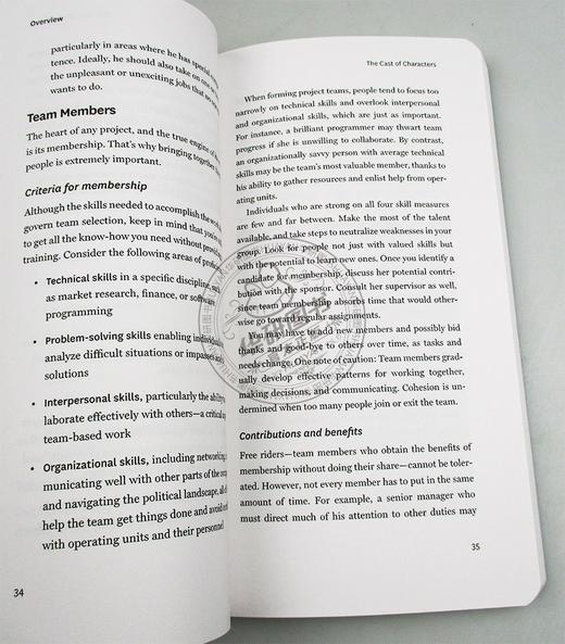 哈佛商业评论指南系列 项目管理 英文原版 HBR Guide to Project Management 英文版 进口原版英语企业管理书籍 商品图1