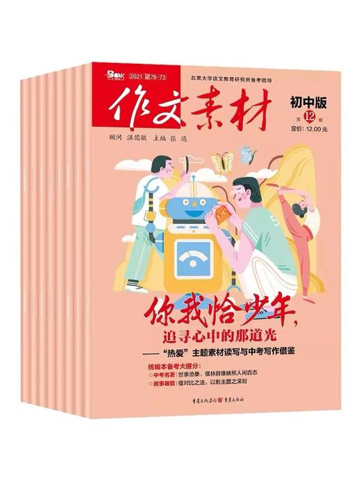 作文素材初中版12辑 初中生作文书籍 热点素材解读与写作练习 商品图5