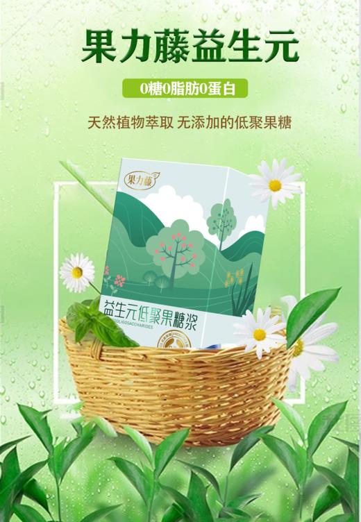 益生元、果力藤低聚果糖浆，纯度95%，膳食纤维含量超高 商品图0