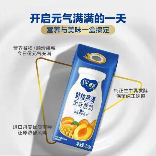 蒙牛纯甄风味酸奶（黄桃燕麦） 商品图2