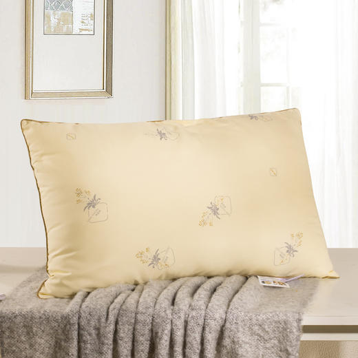 芳恩 板蓝根健康枕 商品图4