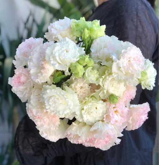 【AB级冰淇淋洋桔梗】一扎约8-10朵/份 商品图0