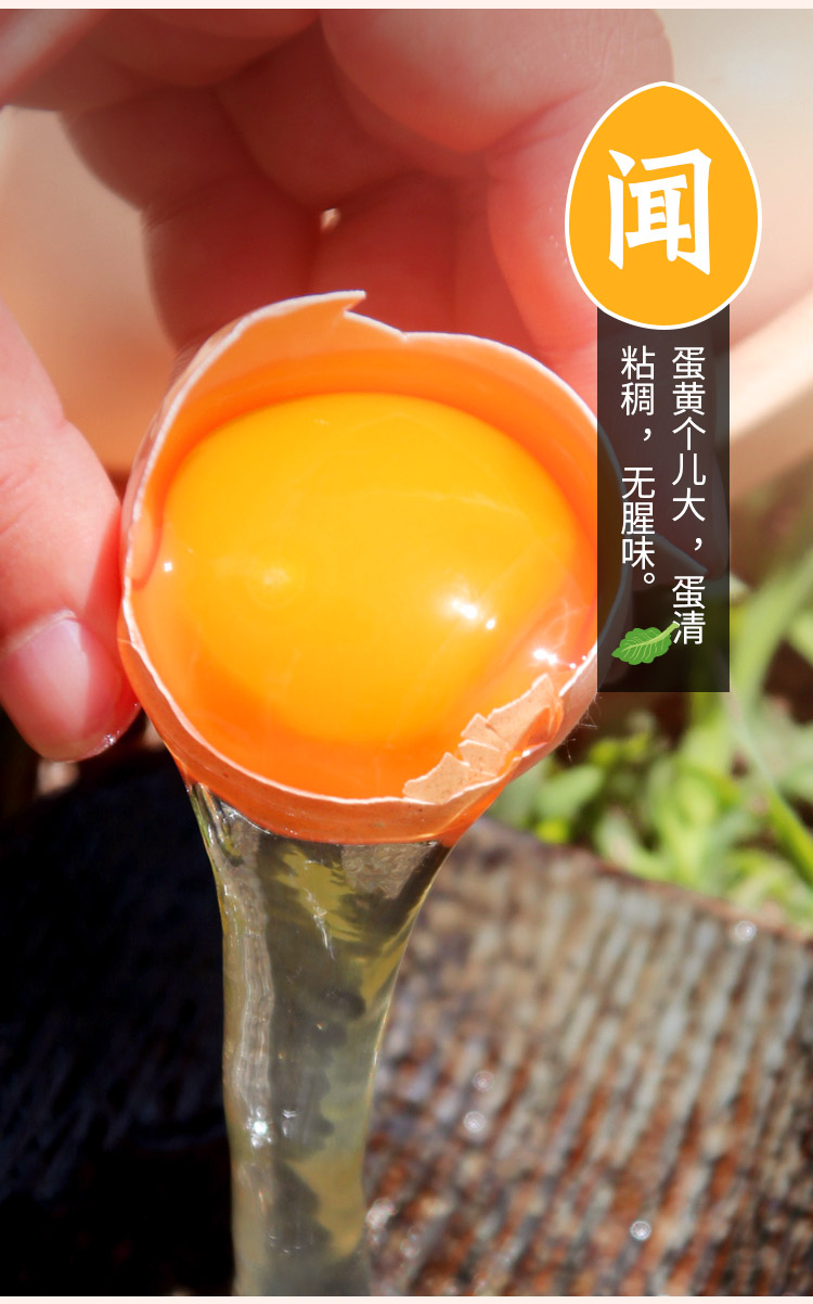 宝宝辅食散养北京油鸡蛋卵磷脂含量高适合做宝宝辅食包邮30枚