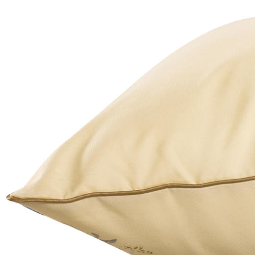 芳恩 板蓝根健康枕 商品图3