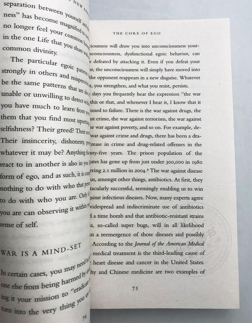 新世界 灵性的觉醒 英文原版 A New Earth Create a Better Life 奥普拉俱乐部荐 英文版进口英语书籍正版 商品图3