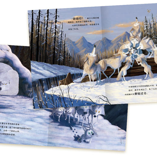 （预售）第一次尝试也不怕·宫西达也勇气绘本4册精装 商品图3