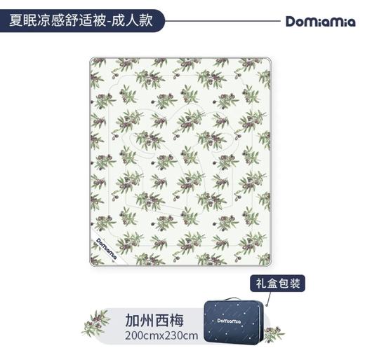 Domiamia凉感被加州西梅200×230 商品图0
