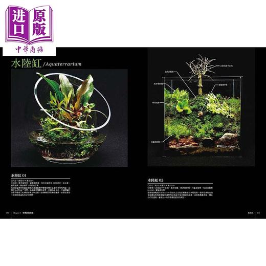预售 【中商原版】走入生态缸世界 设计 培养 疗愈 陆生缸 沼泽缸 两栖生态缸 水陆缸 港台原版 佐佐木浩之 户津健治 瑞昇 商品图6