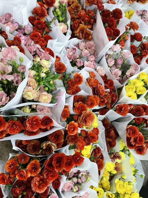 【快乐一生】蝴蝶洋牡丹 多色可选  若干枝/扎 商品图5