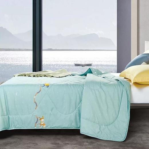 华伦天奴 悦然四季纤维被GV2679BZ 商品图1