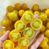 多彩樱桃自然熟小番茄  3斤装 商品缩略图8