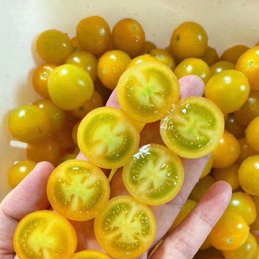多彩樱桃自然熟小番茄  3斤装 商品图8