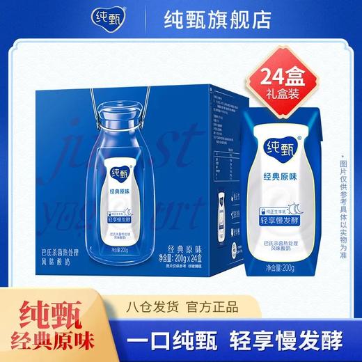 蒙牛纯甄酸奶200g 商品图0