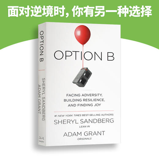 方案B 英文原版 Option B 面对逆境 建立韧性并寻求快乐 另一种选择 英文版b选项 向前一步作者 Sheryl Sandberg 励志读物进口书 商品图3