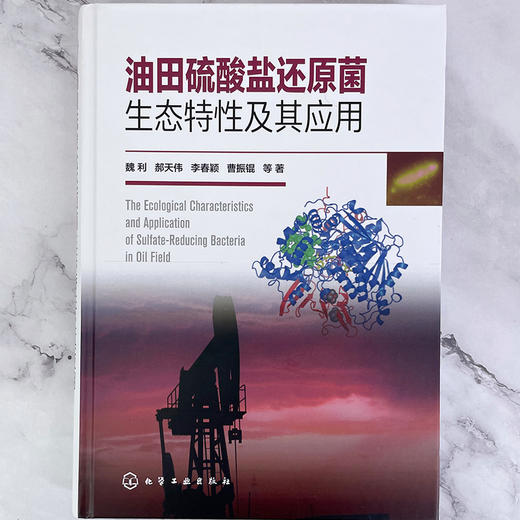 油田硫酸盐还原菌生态特性及其应用 商品图6