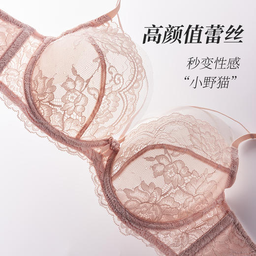 夏娃的诱惑极光组内衣女夏季薄款软钢圈超薄蕾丝文胸上托性感纯欲风bra 商品图1