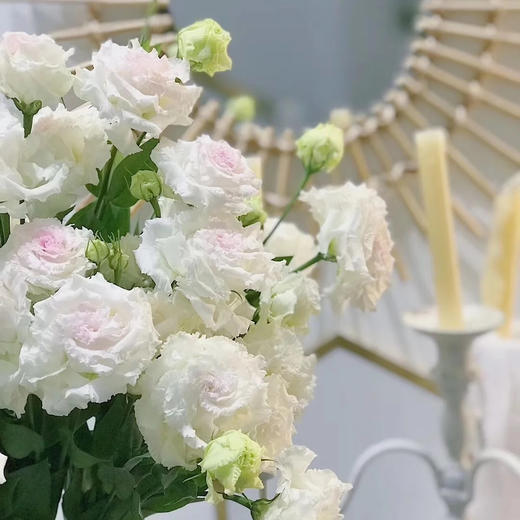 【AB级冰淇淋洋桔梗】一扎约8-10朵/份 商品图8