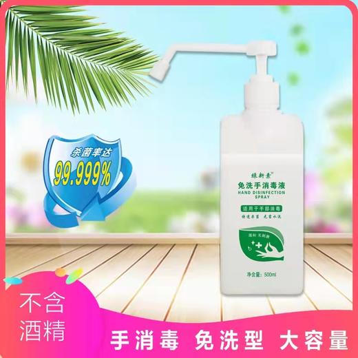 【NB】绿新素免洗手消毒液500ml/瓶 商品图0