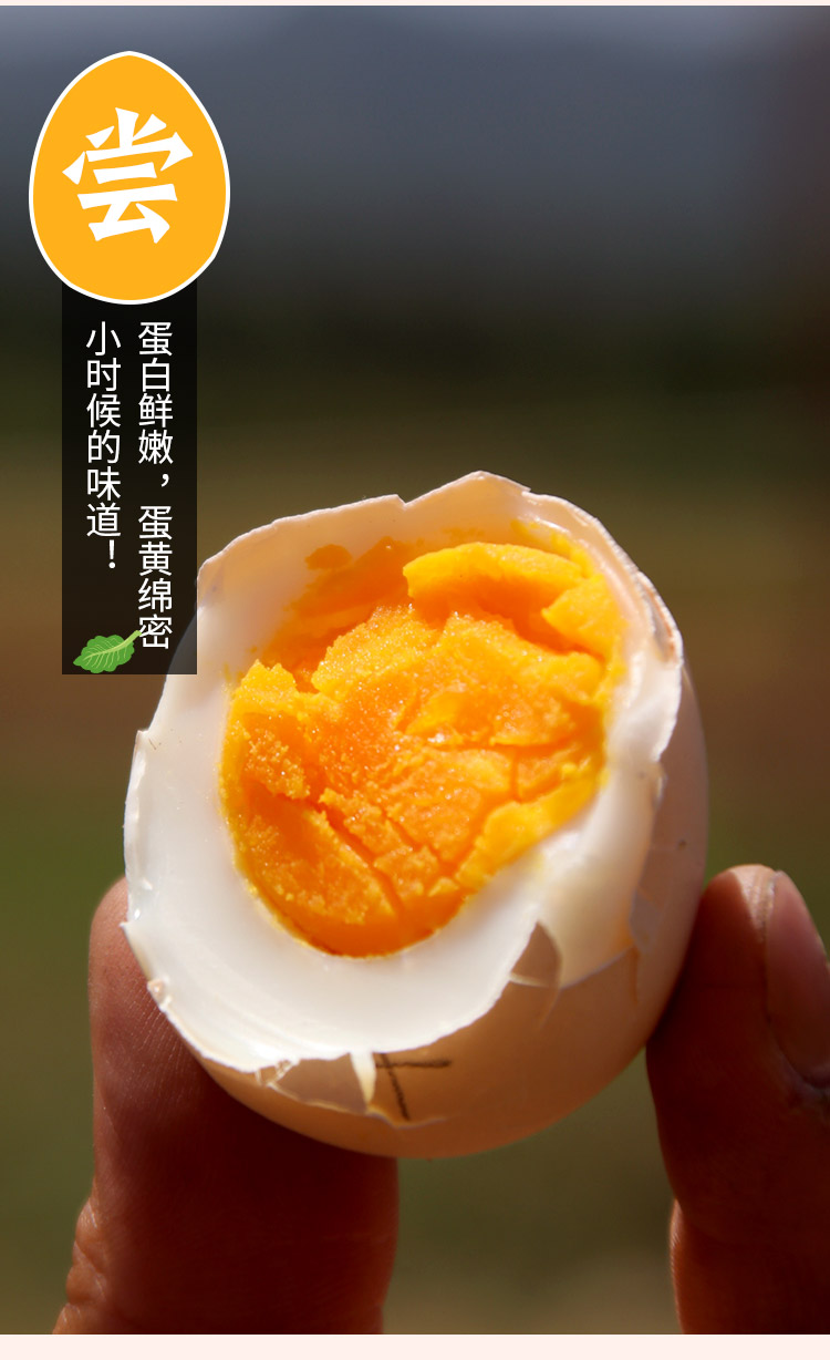 宝宝辅食散养北京油鸡蛋卵磷脂含量高适合做宝宝辅食包邮30枚