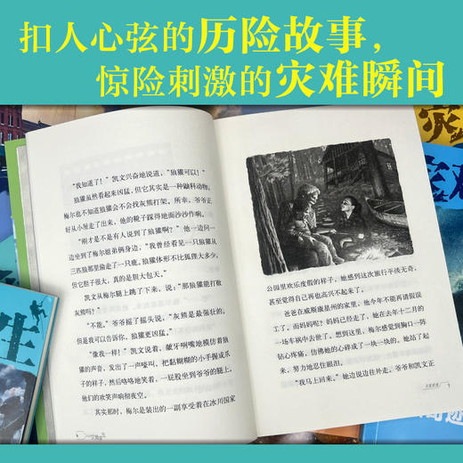 灾难求生儿童小说系列14册 赠送蓝天救援队手册+救生钥匙链+保温毯 商品图3