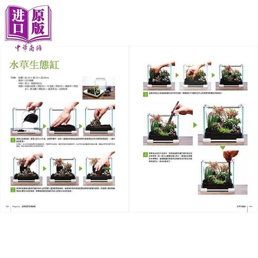 预售 【中商原版】走入生态缸世界 设计 培养 疗愈 陆生缸 沼泽缸 两栖生态缸 水陆缸 港台原版 佐佐木浩之 户津健治 瑞昇 商品图7