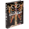 解剖学 探索人体 英文原版 Anatomy Exploring the Human Body 艺术绘画与医学展现 精装 Phaidon 英文版进口英语书籍 商品缩略图3