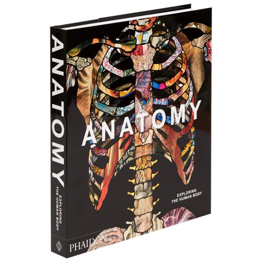 解剖学 探索人体 英文原版 Anatomy Exploring the Human Body 艺术绘画与医学展现 精装 Phaidon 英文版进口英语书籍 商品图3