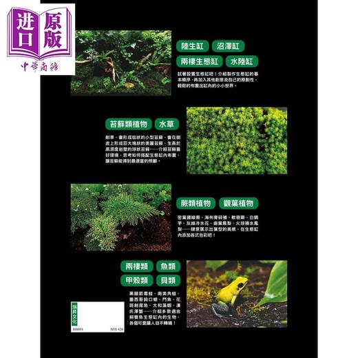预售 【中商原版】走入生态缸世界 设计 培养 疗愈 陆生缸 沼泽缸 两栖生态缸 水陆缸 港台原版 佐佐木浩之 户津健治 瑞昇 商品图2