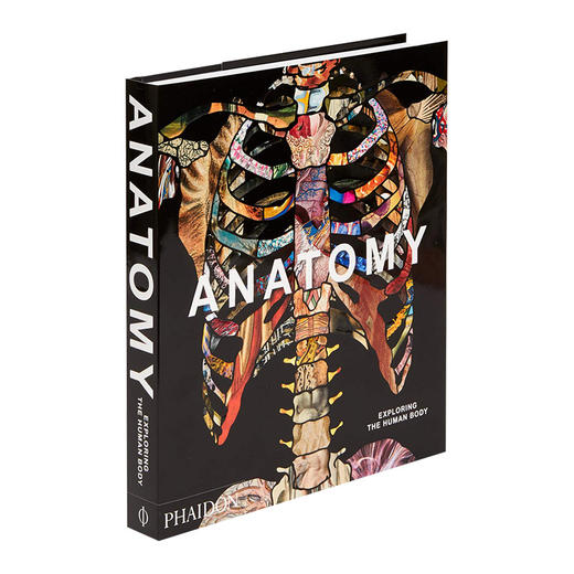 解剖学 探索人体 英文原版 Anatomy Exploring the Human Body 艺术绘画与医学展现 精装 Phaidon 英文版进口英语书籍 商品图0