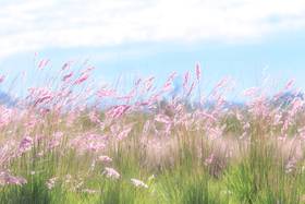 专题聚焦 | 美育