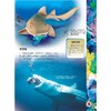 海洋生物 商品缩略图1