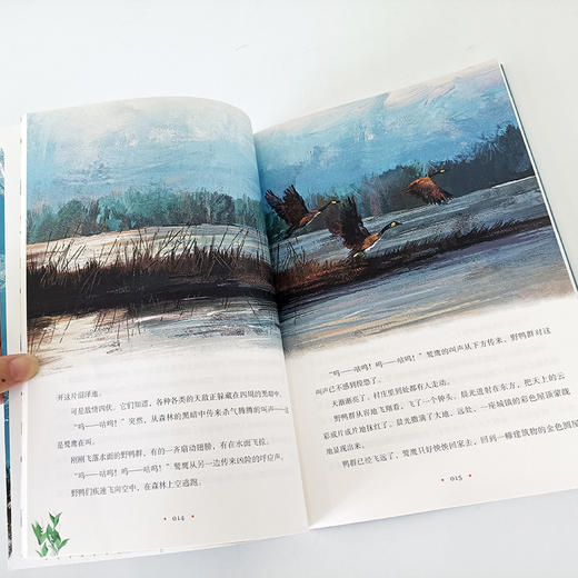 【申怡推荐 6~16岁】写给孩子的动物文学馆全集 商品图11