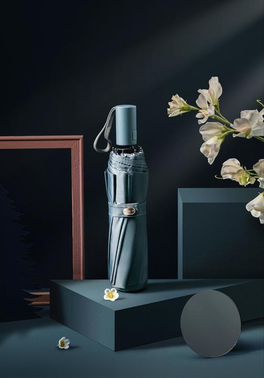 华伦天奴 天空之境晴雨伞GV0538YS 商品图4