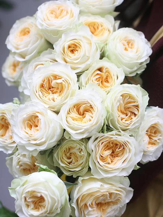 【周四秒杀】温柔奶油杯10枝49.8元 商品图2